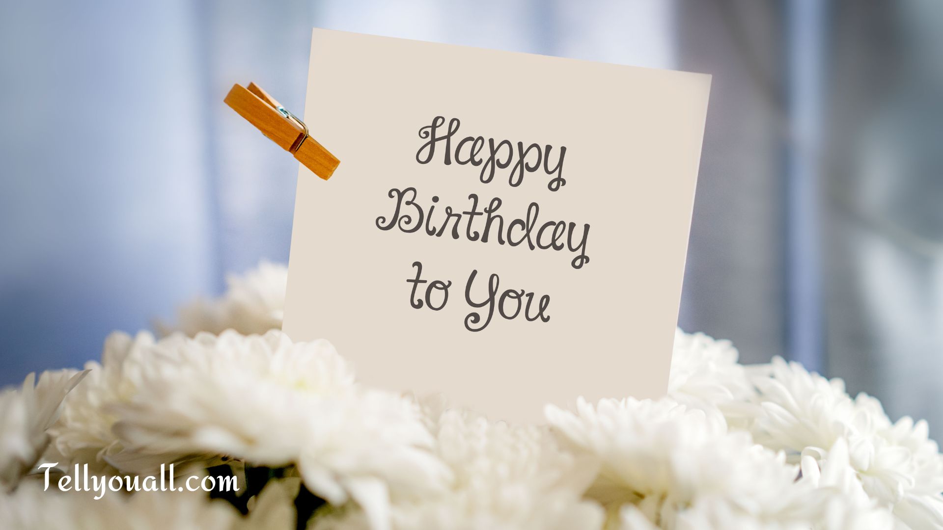 Best Happy Birthday Wishes